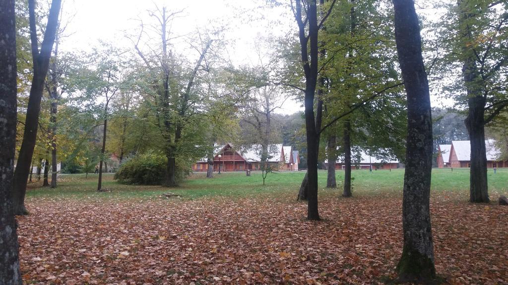 Roskosz Zespol Dworsko Parkowy Bed & Breakfast Biała Podlaska Dış mekan fotoğraf